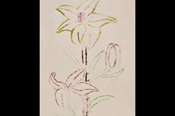 4B_孔芷晴_賀年花卉